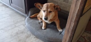 photo/06ccacb0-dc40-4e53-8ba2-6f6453565a48-3