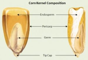 photo/176fb12f-5cd6-4272-8ad2-7f24f326ce0d-3