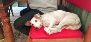 photo/1f2dcacb-eb08-4fec-9980-6d958a774a8d-3