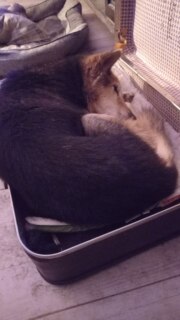 photo/31172063-7c82-4bea-a9d2-929428a82ae9-3