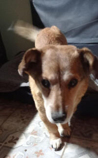 photo/43cd6b61-6aa7-41f2-9e8b-00f9309639fb-3