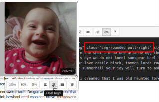 summernote/plugin/floats-bs