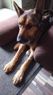 photo/9d996d95-f017-46b0-b9ae-bf98b366e5fd-3