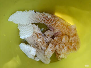 View Photo bienenwaben-20250630-01.jpg
