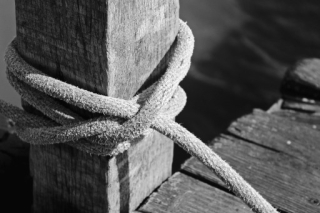 photo/c8ec118e-d87c-4bc7-aeee-1f83e1dd88eb-3