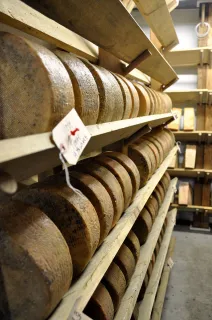 photo/d2e508d5-7b6a-4d0b-8383-b05142579104-3