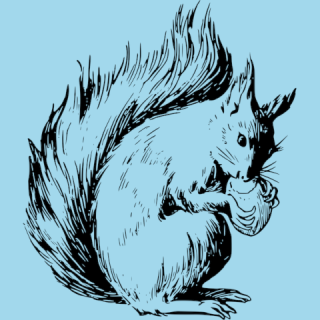 photo/d91f2430-a271-4310-861c-8296a0e05289-3